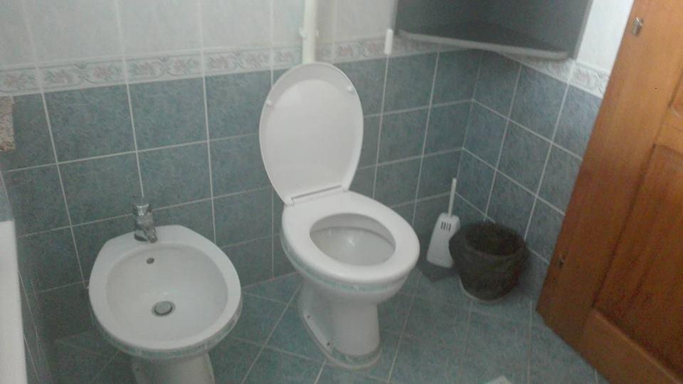 Domacinstvo Opavski Backi Petrovac Exterior foto