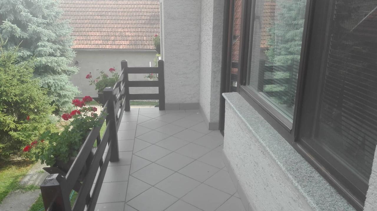 Domacinstvo Opavski Backi Petrovac Exterior foto